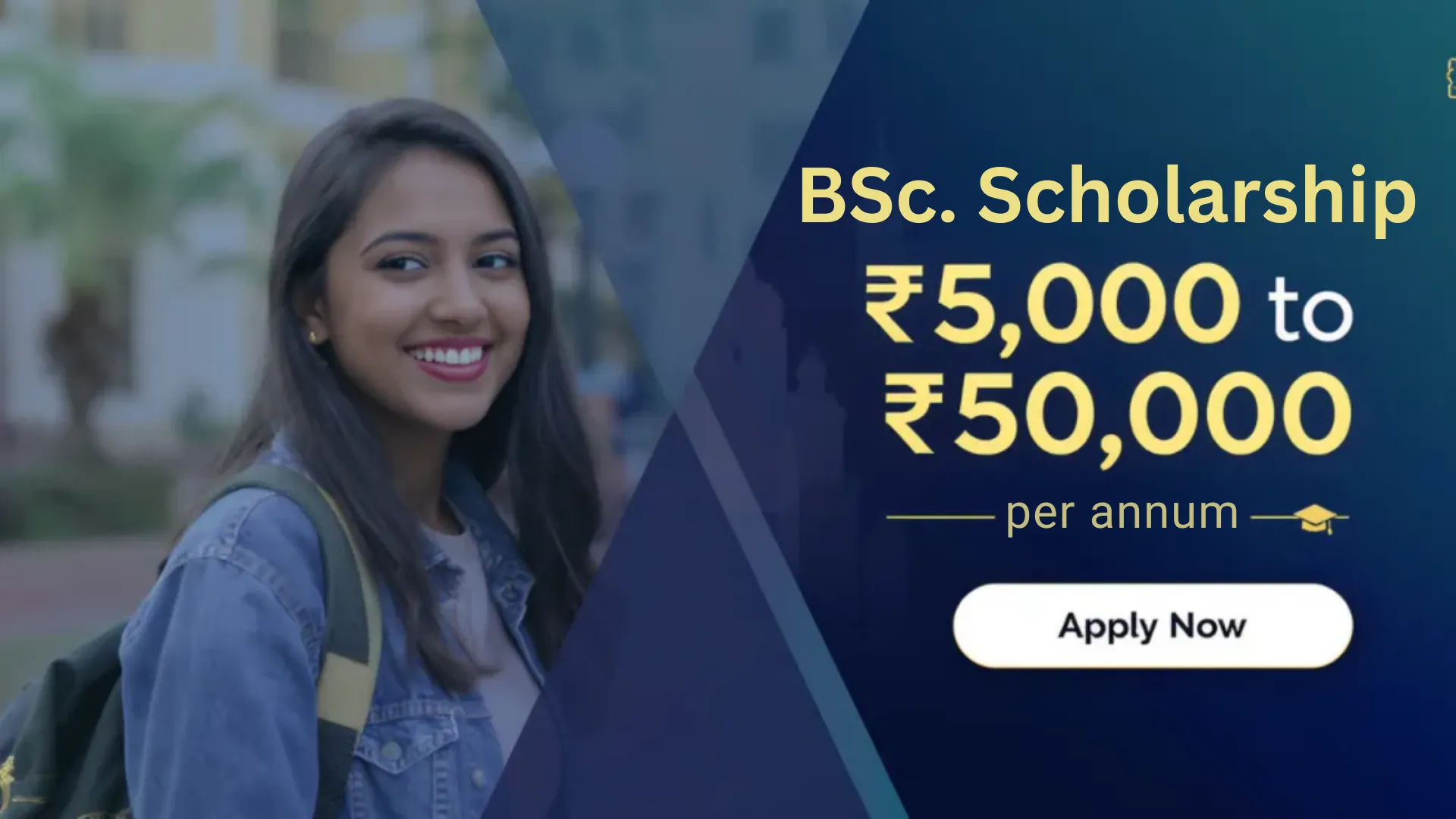 BSc Scholarship