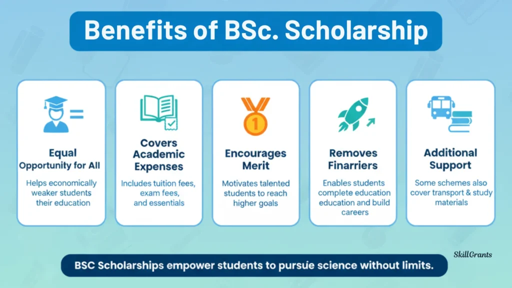 BSc Scholarship