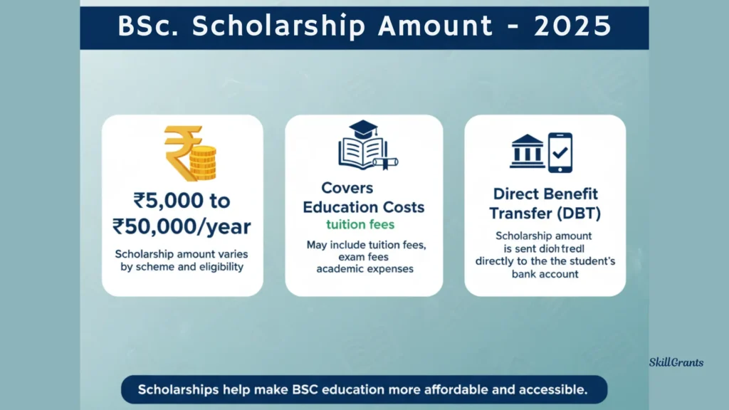 BSc Scholarship