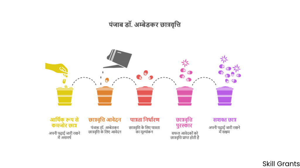 Dr Ambedkar Scholarship Punjab