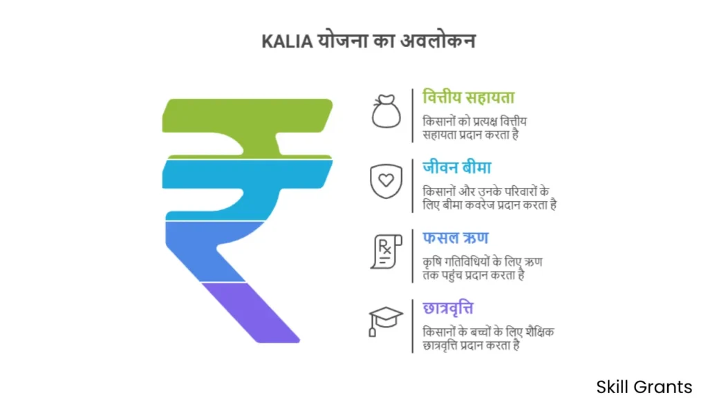 Kalia Yojana