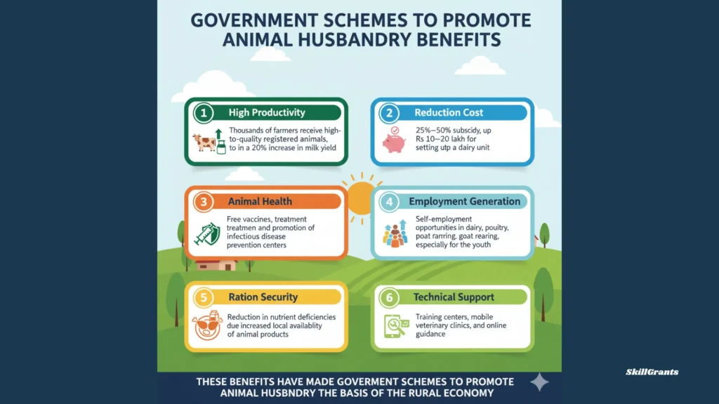 Government Schemes to Promote Animal Husbandry