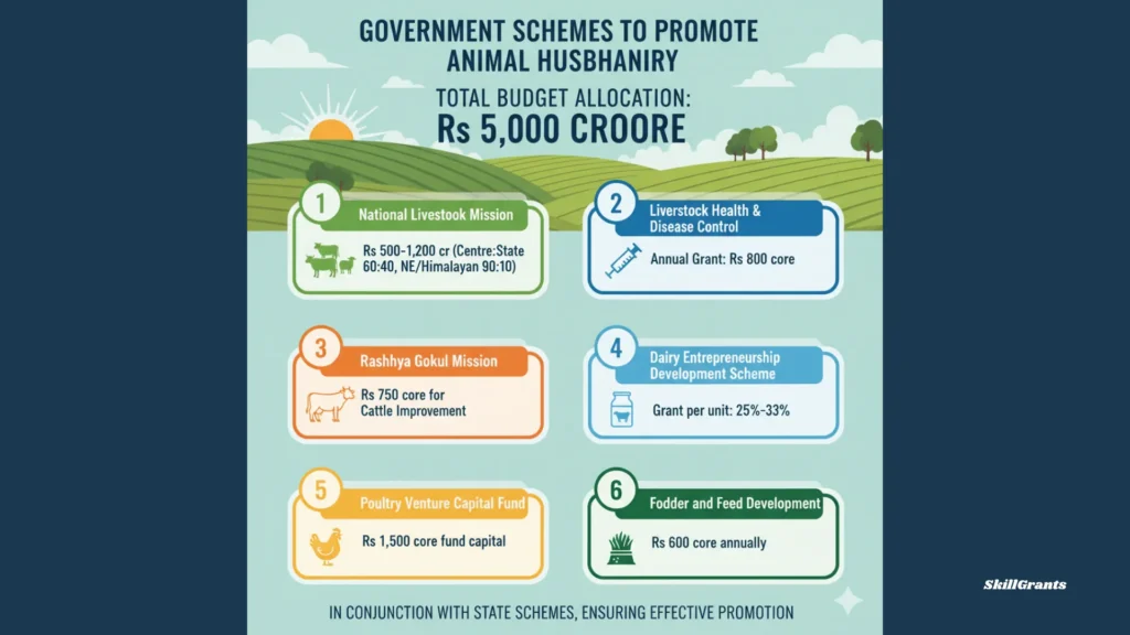Government Schemes to Promote Animal Husbandry