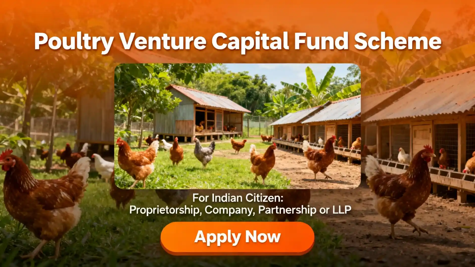 Poultry Venture Capital Fund Scheme