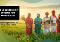top-10-government-schemes-for-agriculture